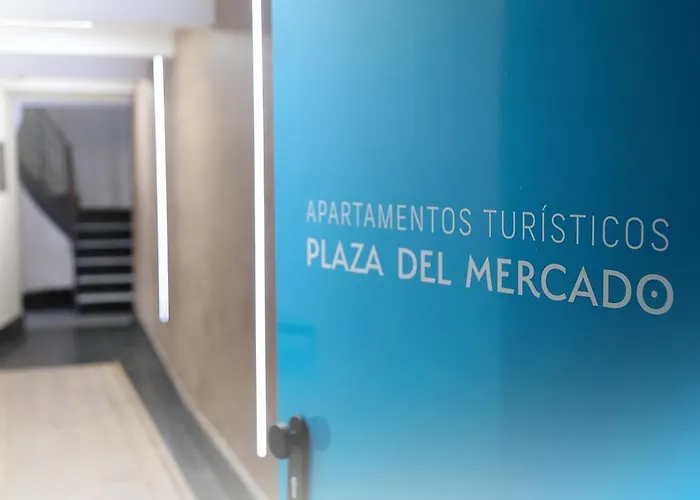 Piso Plaza Mercado 2,3